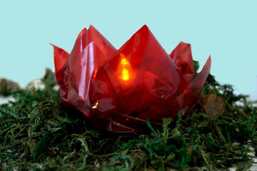 A Red Origami Cellophane Lotus Water Lilly Centerpiece on a base of Moss 