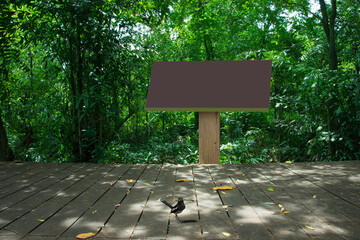 Layout billboard banner white for any information on the background forest.