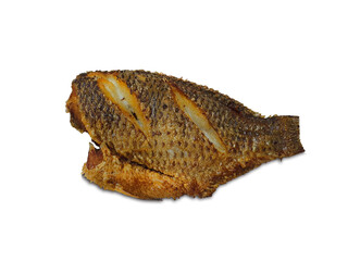 Fried tilapia fish isolate on white background.