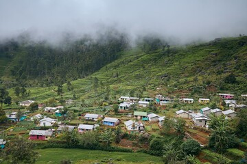 Agricultural village against tea plantation