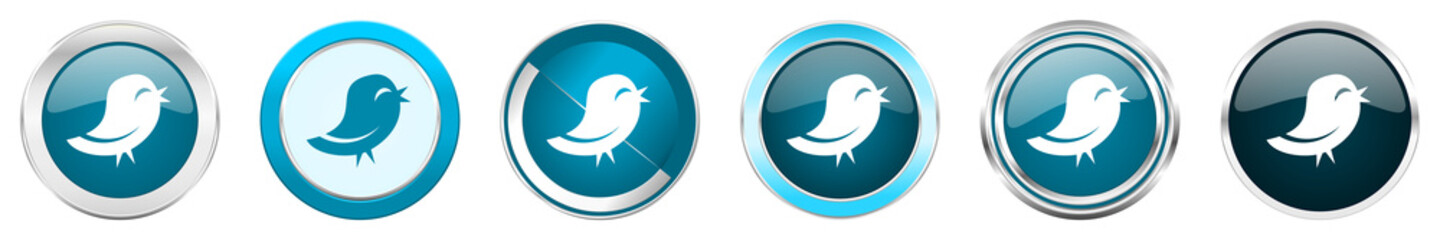 Twitter silver metallic chrome border icons in 6 options, set of web blue round buttons isolated on white background
