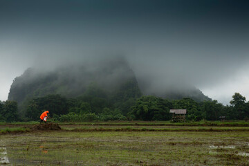 Fototapeta premium fog in the mountains