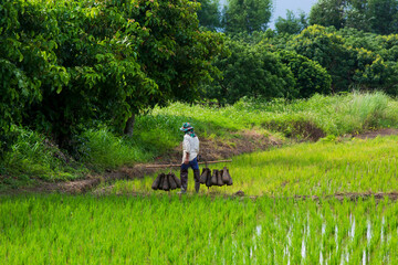 Obraz premium Farmers preparing to catch fish