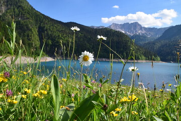 Sauris di Sopra e Lago di Saluri