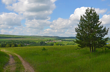 rural landscape