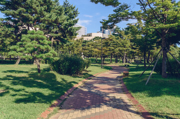 beauty of landscaped APEC Naru park on sunny day