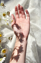 Shadow of daisies on a female hand