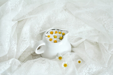 Daisies in a cup