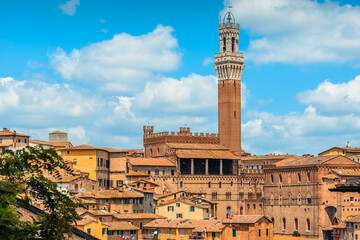 Fototapeta premium The skyline of the historic centre of Siena with the back of the Palazzo Pubblico and the Torre del Mangia from near the Monastero di Sant'Agostino.