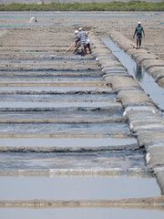 Workers on the salt flats in the north of Tamil Nadu, India . The salt is separated in the pits and...