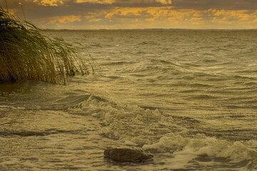 sand dunes at sunset