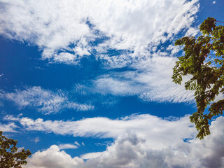 Blue sky and many white big clouds in daylight. Natural sky, mountains and a lot of green trees and grass composition. Ideal for use in the design or wallpaper