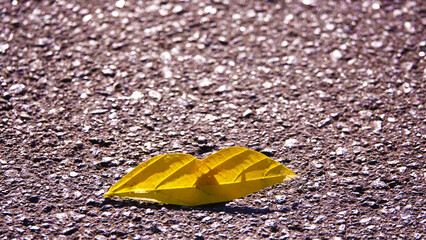 Autumn leaf on the road in the form of lips
