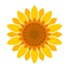Sunflower vector icon.Cartoon vector icon isolated on white background sunflower.