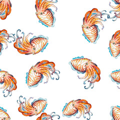 Fototapeta na wymiar Aquarelle painting of cuttlefish sketch art illustration