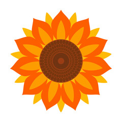 Sunflower vector icon.Cartoon vector icon isolated on white background sunflower.