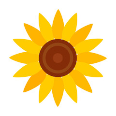Sunflower vector icon.Cartoon vector icon isolated on white background sunflower.