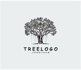 Obraz premium Tree logo design template, vector isolated. banyan tree logo.