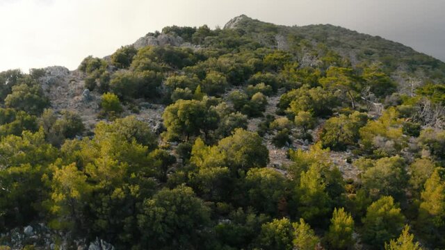 Mountain landscape with green trees. Mediterranean sea, Turkey. Drone footage 4K
