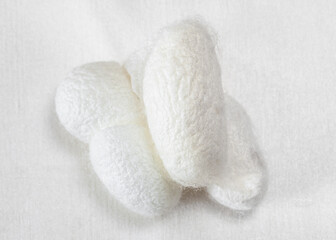 Fototapeta na wymiar few organic silkworm cocoons for facial skin care on white silk fabric close up
