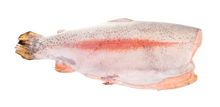 deepfrozen gutted and headless rainbow trout red fish isolated on white background