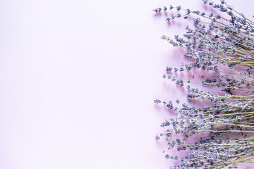 Lavender dry flowers on light background. Top view, text space