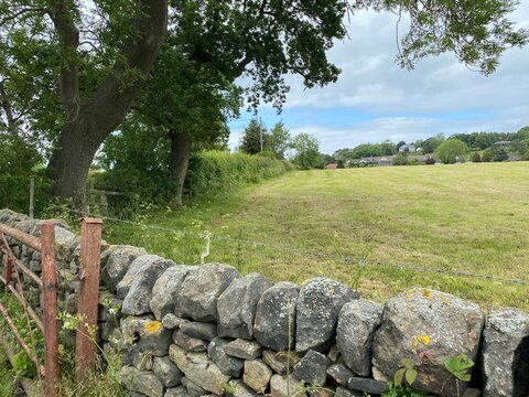 Corner of a field, with dry stone walls, a farm gate, and old trees in, Hawksworth, Leeds, UK