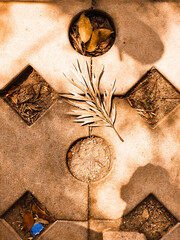 the leaf fell from the tree on the ground