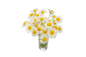 Bouquet of daisies isolated on white.