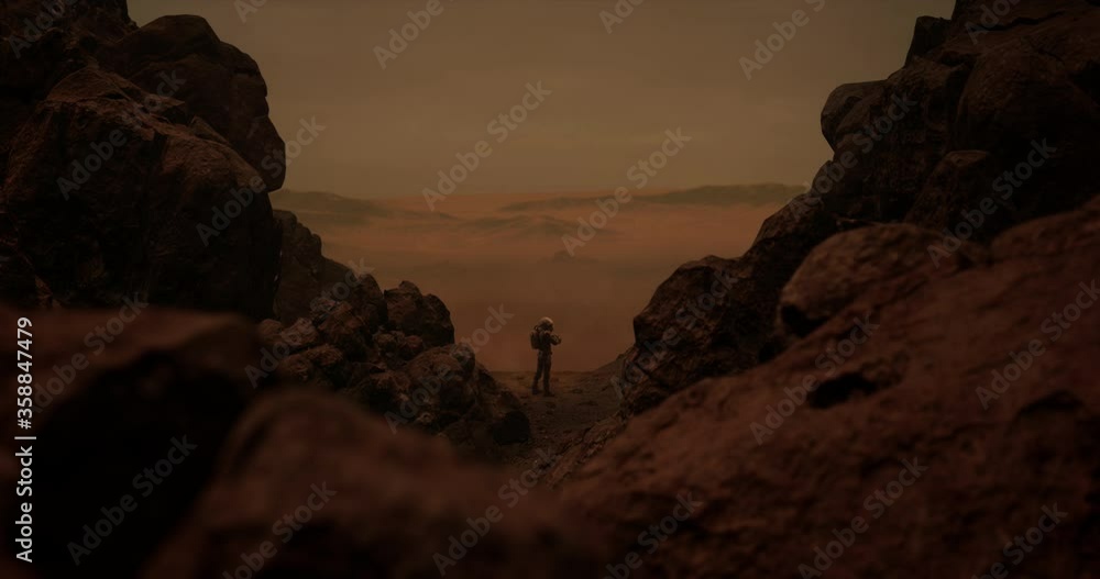 Wall mural dolly in back view of lonely astronaut walking on a surface of a red rocky planet. mars colonization