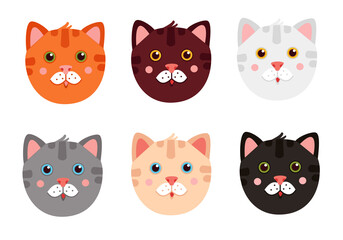 Set of colorful cat faces with pink cheeks. As such orange, brown, white, grey, beige, black cat. Cute tabby cat. Isolated on white background.  Vector illustration. For design, web, graphic. 