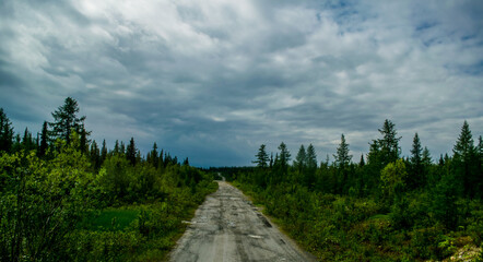 Fototapeta na wymiar gravel road to mountain ridge with small coniferous trees during stormy weather with gray clouds