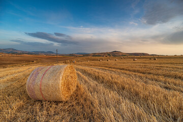 Campo di balle di fieno al crepuscolo, Sicilia IT