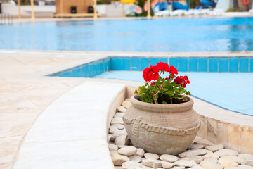 Flower pot is on foreground of swimming pool, blue water of resort area, nobody