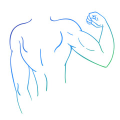 Design of muscle arm draw