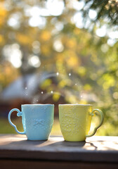 Healthy herbal tea. Beautiful coffee Cup with the steam, background of nature and the warm light. Two cups coffee Cup on autumn background.