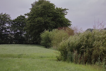 Landschaft in der Nähe von der Elbe