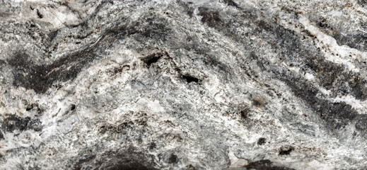 Granite. Petrified wood texture. Окаменелое дерево.