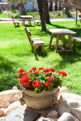 Earthenware jug with growing red flowers is in summer garden, wooden table and chairs for picnic are on green grass meadow