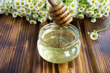 Honey in the glass jar and chamomiles on the brown wooden background