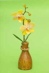 yellow orchid flowers in a vase on a green background