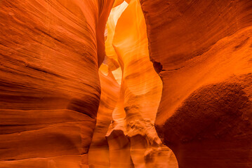 The walls of the the canyon glow when illuminated by the morning sun in lower Antelope Canyon,...