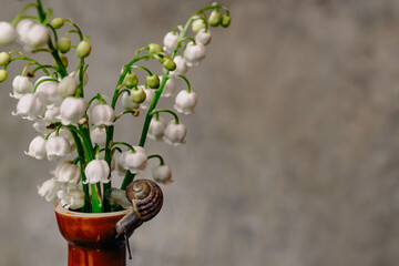 A small snail crawls up the neck of a brown jug in which there is a bouquet of marsh lily of the valley on a gray background