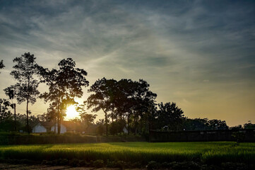 Fototapeta na wymiar beautiful sunrise over the rice fields