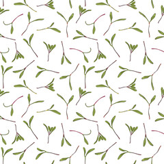 Seamless pattern. Hand drawn rainbow chard micro greens. chard. Vector illustration in sketch style on white background. Vitamin supplement, vegan food.