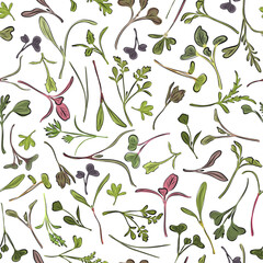 Seamless pattern. Hand drawn rainbow chard micro greens. Chard, radish, beet,carrot, cabbage. Vector illustration in sketch style on white background. Vitamin supplement, vegan food.