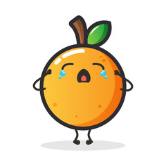Cute orange fruit character for illustration or mascot.