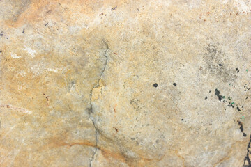 rock or stone texture background. texture of stone