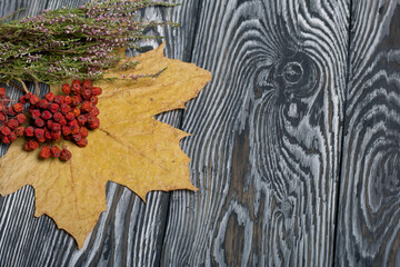 Fototapeta na wymiar Yellow autumn maple leaves, a bunch of dry heather and dry rowan berries. On pine boards painted black and white.