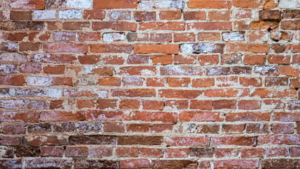 Old Brick Wall Texture of the Destroyed Castle and Church